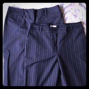 Ann Taylor Loft Suit Pants